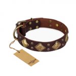 "Golden Square" FDT Artisan Brown Leather dog Collar with Large Squares