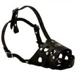 Great Leather Muzzle For Comfortable Walking And Training With Your Dog