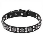 Leather Dog Collar with Silver-like Circles and Round Studs 'Galactic Style' - 1 1/4 inch (30 mm) wide