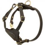 Leather Puppy Harness Felt Padded