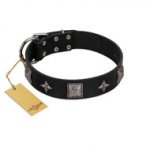 "Black Cavalier" Handmade FDT Artisan Black Leather dog Collar with Silver-Like Stars and Large Plates