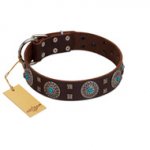 "Hypnotic Stones" FDT Artisan Brown Leather dog Collar with Chrome Plated Brooches and Square Studs