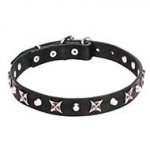 1 inch (25 mm) Leather Dog Collar with Shiny Nickel Plated Stars and Pyramids
