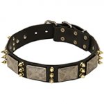 Designer Spiked Leather Dog Collar with Vintage Nickel Massive Plates and 3 Brass Spikes