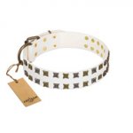 "Ice Peak" FDT Artisan White Leather dog Collar with Silvery and Goldish Decorations