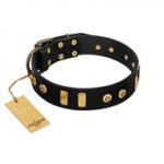 "Rare Dog" FDT Artisan Black Leather dog Collar with Old Bronze-like Dotted Studs and Tiles