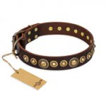 "Ancient Warrior" FDT Artisan Fancy Leather dog Collar with Old-Bronze Plated Decorations