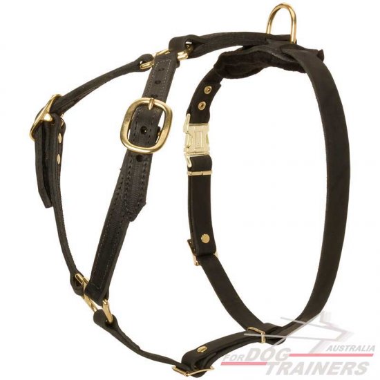 Stylish And Durable Leather Dog Harness
