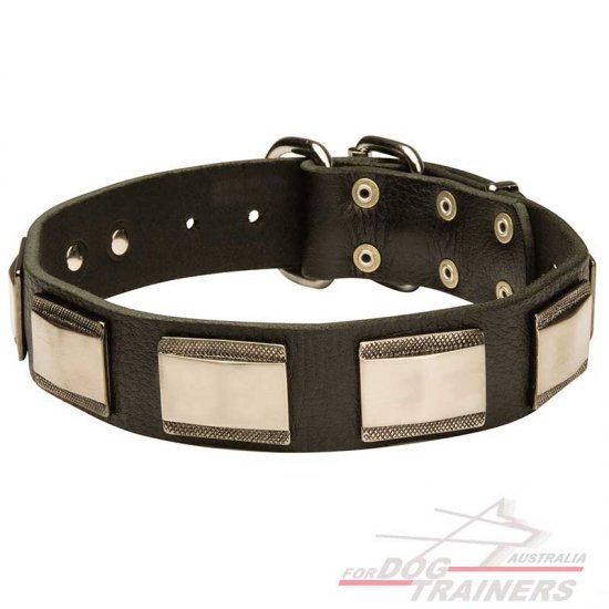 Gorgeous New Design Leather Dog Collar with Brass Plates - Sulje napsauttamalla kuva