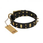 "Medieval Style" FDT Artisan Leather dog Collar with Brass Plated Plates and Spikes