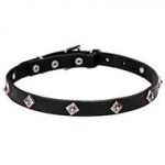 Narrow Leather Dog Collar with Chrome Plated Studs - "Cosmic Stars" - 4/5 inch (20 mm)