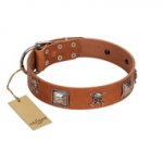 "Amorous Escapade" Embellished FDT Artisan Tan Leather dog Collar with Chrome Plated Crossbones and Plates