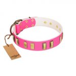 "Rubicund Frill" FDT Artisan Pink Leather dog Collar with Engraved and Smooth Plates