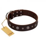 "Pure Sensation" Exclusive FDT Artisan Brown Leather dog Collar with Fancy Brooches and Studs
