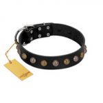 "Inky Prettification" FDT Artisan Black Leather dog Collar with One Row of Studs