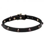 'Age of Style' Leather Dog Collar with Brass Plated Cones 4/5 inch (20 mm)