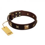"Choco Dreams" FDT Artisan Brown Leather dog Collar with Squares and Stars