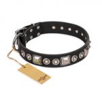 "Eternal Beauty and Style" FDT Artisan Adorned Black Leather dog Collar