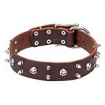 Designer Leather Dog Collar Spiked and Studded