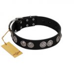 "Magic Amulete" Handcrafted FDT Artisan Black Leather dog Collar with Chrome-Plated Shields