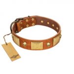 "Mutt The Daredevil" FDT Artisan Tan Leather dog Collar with Old Bronze-like Skulls and Plates