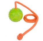 Training Dog Rubber Ball on a String-Dog