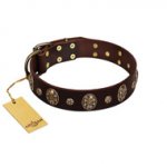 "Breaking the Horizon" FDT Artisan Brown Leather dog Collar with Engraved Studs and Medallions