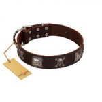 "Nut-Brown Finery" Embellished FDT Artisan Brown Leather dog Collar with Chrome Plated Crossbones and Plates