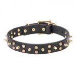 "Space Travel" 1 1/5 inch - 30 mm Leather Dog Collar with Brass Stars and Spikes