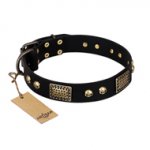"Biker Style" FDT Artisan Black Leather dog Collar with Old Bronze Look Plates and Skulls