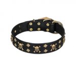 "Jolly Rojer" FDT Artisan Leather dog Collar with Pirate Skulls and Studs - 1 1/2 inch (40 mm) wide