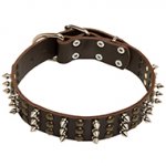Leather Dog Collar with Studs and Spikes