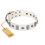 "Mysterious Voyage" FDT Artisan White Leather dog Collar with Engraved Plates and Skulls