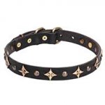'Milky Way' 1 inch (25 mm) Leather Dog Collar with Old Bronze-plated Half-ball Studs and Stars