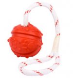 Cool Training Toy - Quality Red Ball on String