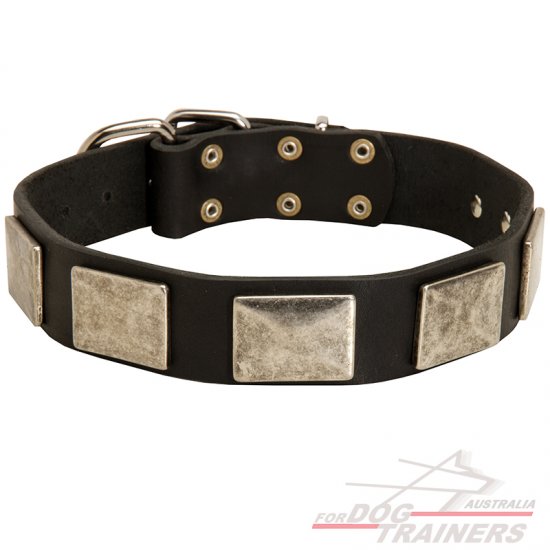New Design Leather Dog Collar with Nickel Plates