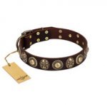 "Caribbean Treasures" FDT Artisan Brown Leather Dog Collar with Old-Bronze-like Conchos and Medallions with Skulls