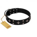 "Snappy Dresser" FDT Artisan Black Leather dog Collar Adorned with Stars and Tiny Squares