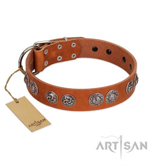"Woofy Majesty" FDT Artisan Tan Leather dog Collar with Round Silver-like Plates - Sulje napsauttamalla kuva