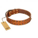"Walk and Shine" FDT Artisan Tan Leather dog Collar with Antiqued Studs
