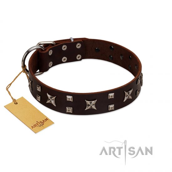 "Bigwig Woof" FDT Artisan Brown Leather dog Collar with Chrome Plated Stars and Square Studs - Click Image to Close