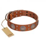 "Sun Rise Noon" FDT Artisan Tan Leather dog Collar with Unique Design