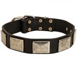 New Design Leather Dog Collar with Nickel Plates