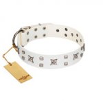 "Star Patrol" FDT Artisan White Leather dog Collar Adorned with Stars and Studs