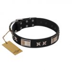 "Pitch Dark" FDT Artisan Black Leather dog Collar with Stars and Plates