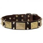 Vintage Dog Collar with Massive Brass Plates and Nickel Pyramids