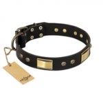"Black Sun" FDT Artisan Leather dog Collar with Brass Plated Decorations