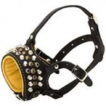 Fashion Studded Nappa Padded Dog Leather Muzzle