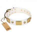 "Inspiration" FDT Artisan White Leather dog Collar with Antiqued Skulls and Plates