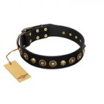 "Reckless Mutt" FDT Artisan Black Leather dog Collar with Skulls and Brooches